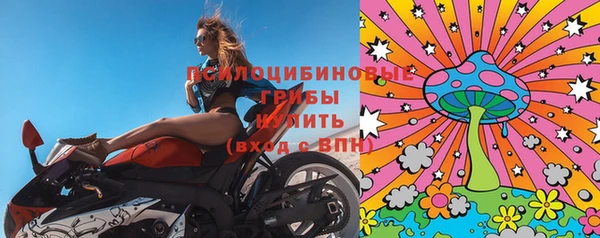 гашик Верхний Тагил